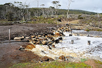 Counsel Creek in flood, Maria Island - 23rd September 2009
