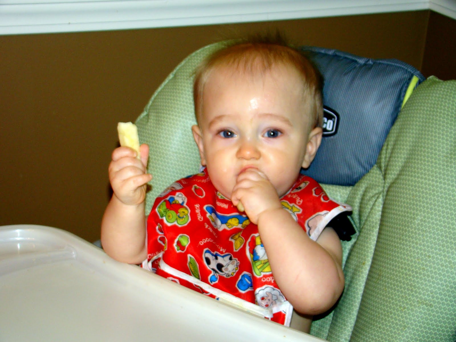 Baby-led Weaning Book