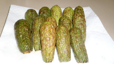 Bhibik ya NehNeh: Shiekho/ Koosa bi laban