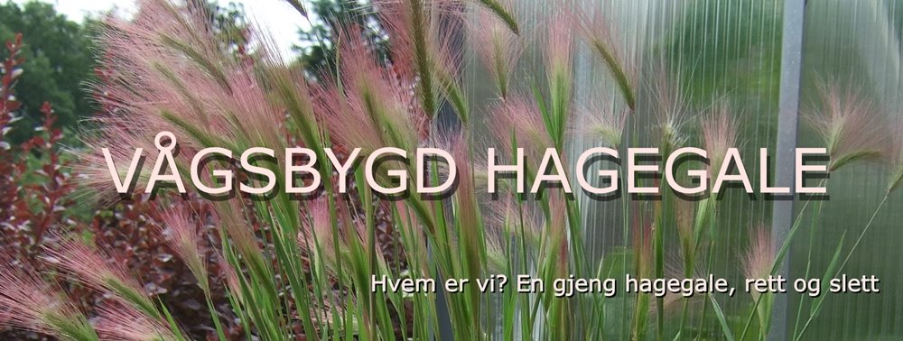 Vågsbygd Hagegale