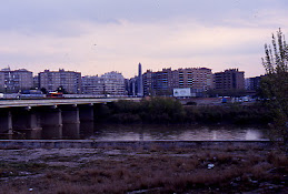Puente de la Química, Zaragoza. Rastros de zorro debajo del puente