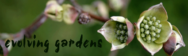 evolving gardens
