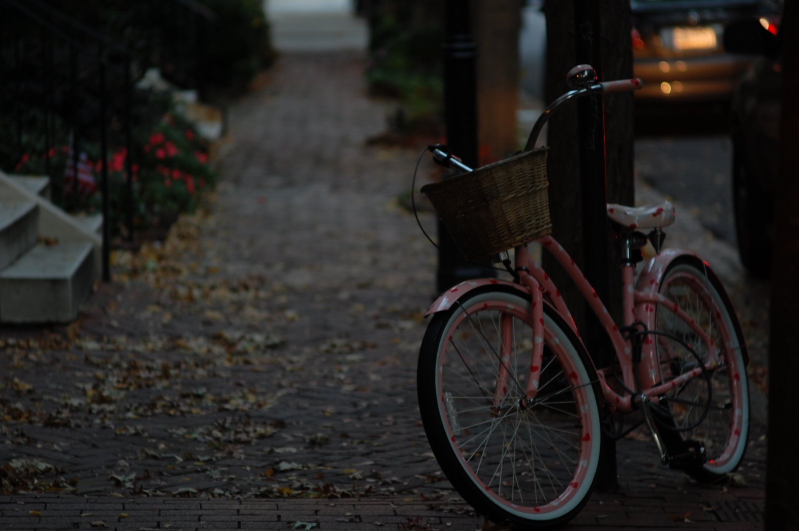 [DSC_0742.JPG]