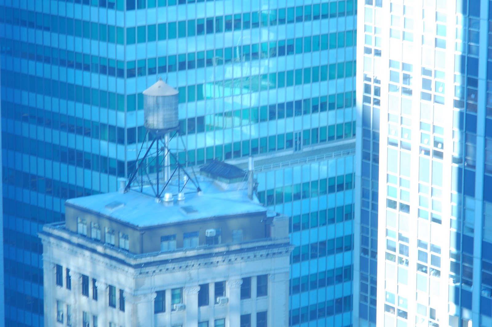 [DSC_0528.JPG]