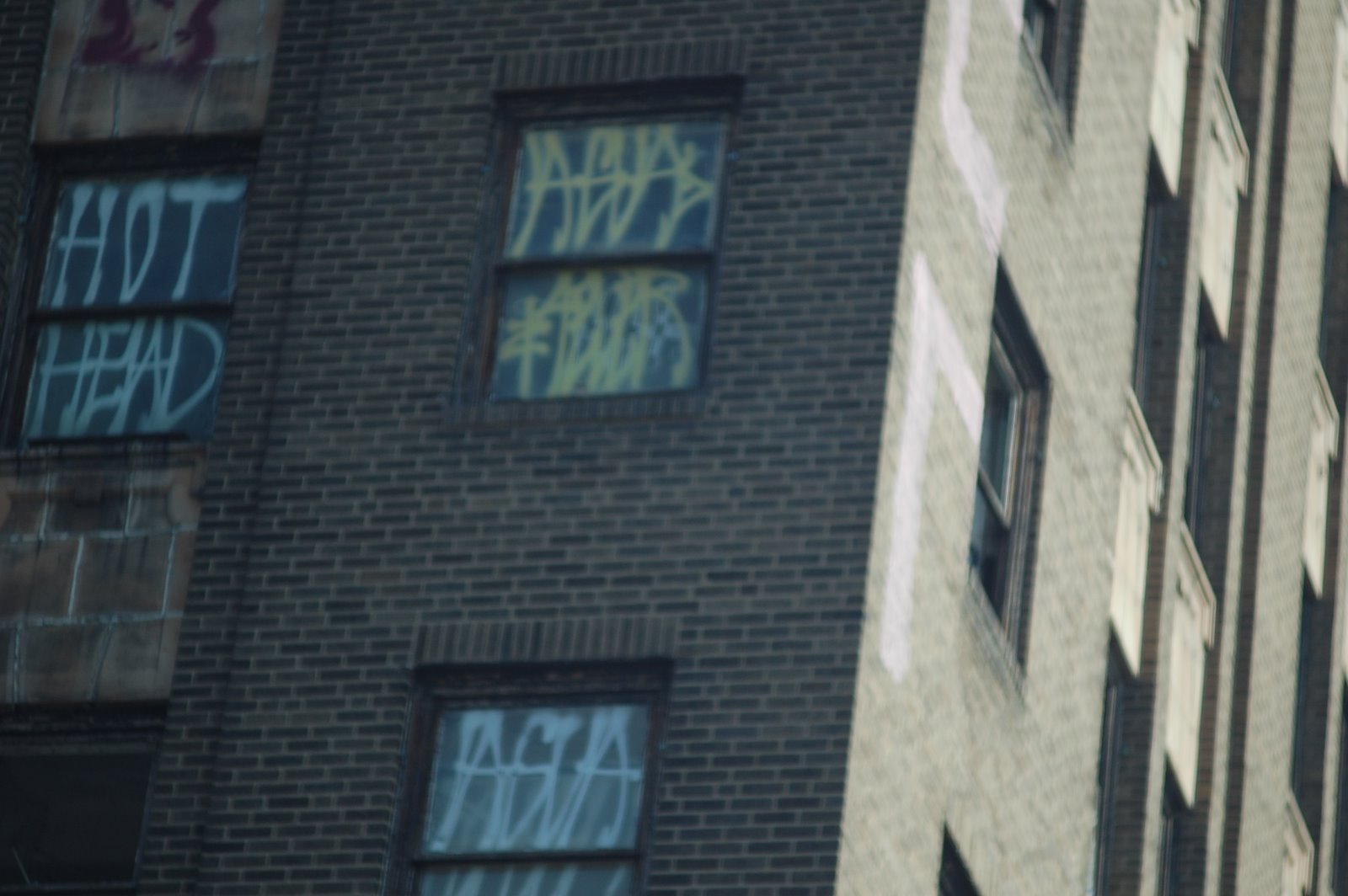 [DSC_0515.JPG]