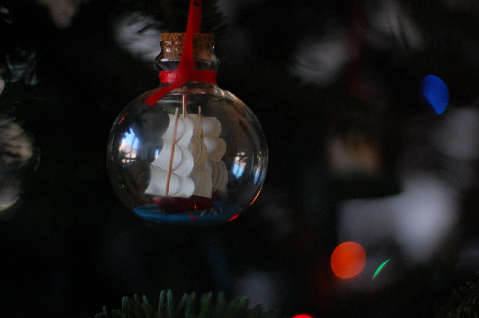[DSC_0795.JPG]