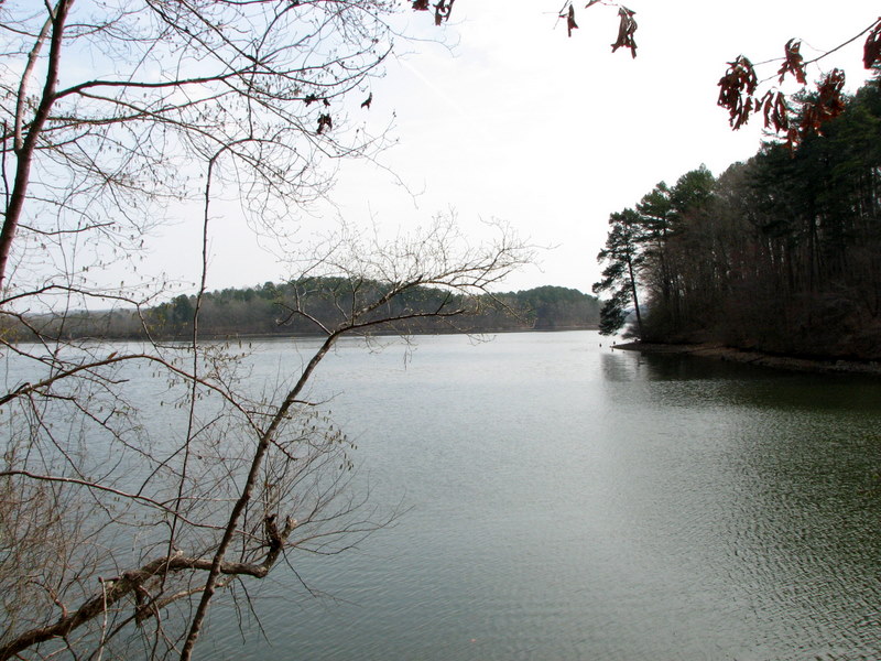 JOYFUL REFLECTIONS Lake Catherine State Park, Hot Springs, Arkansas