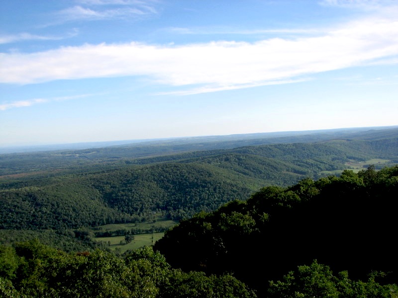 JOYFUL REFLECTIONS Our Cumberland Plateau