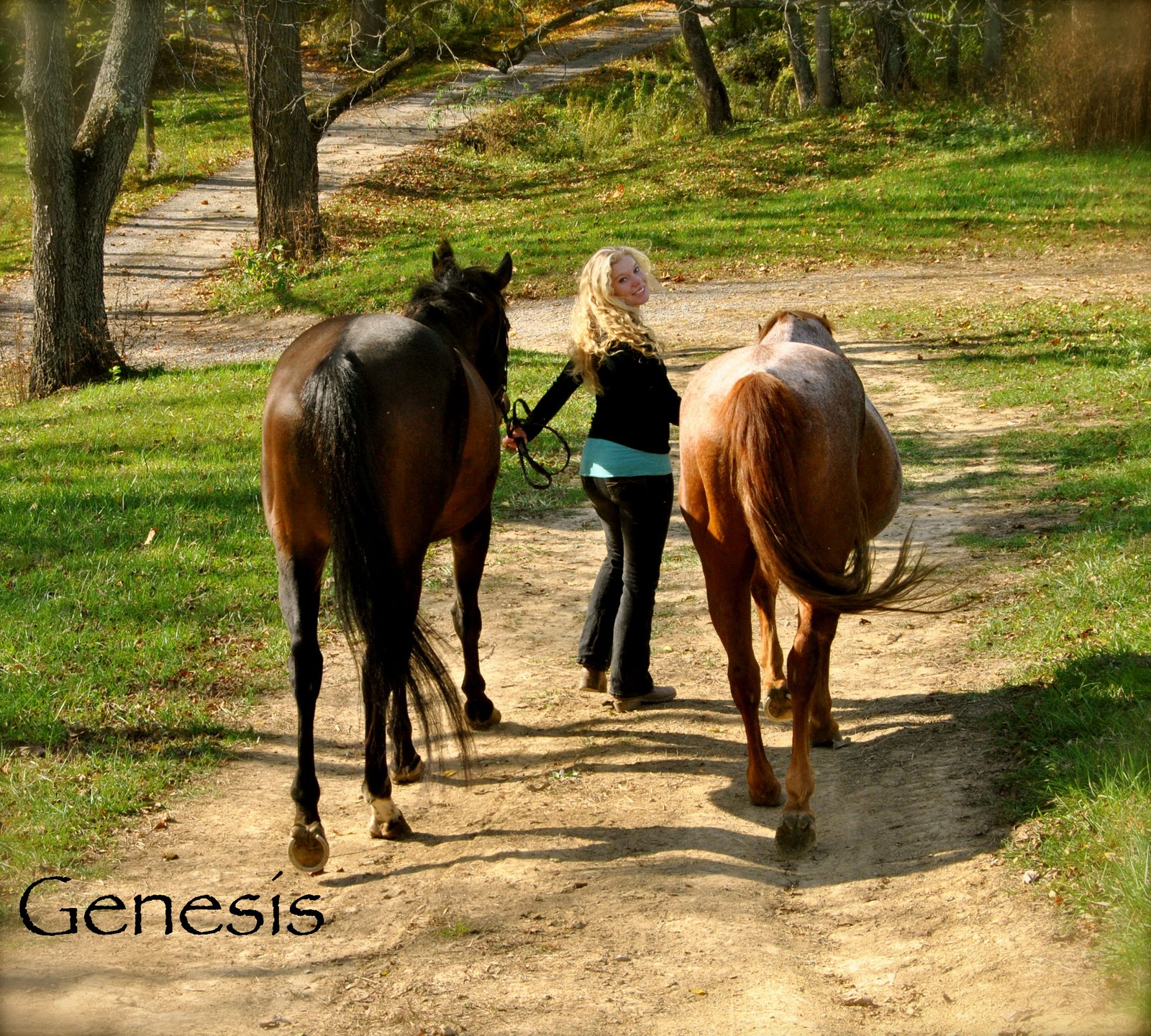 Genesis Photography Equine Photography