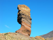 Árbol de piedra. Cañadas del Teide