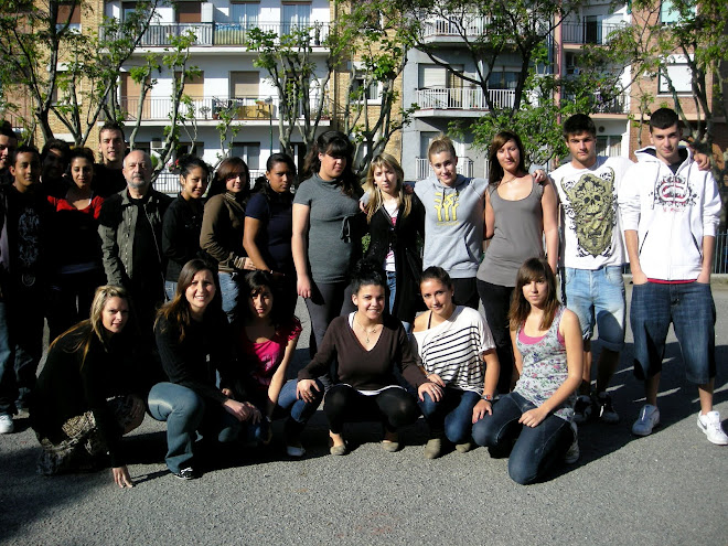 Curs 2009/10 CFGM