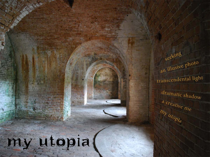 my utopia