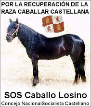 SOS CABALLO LOSINO