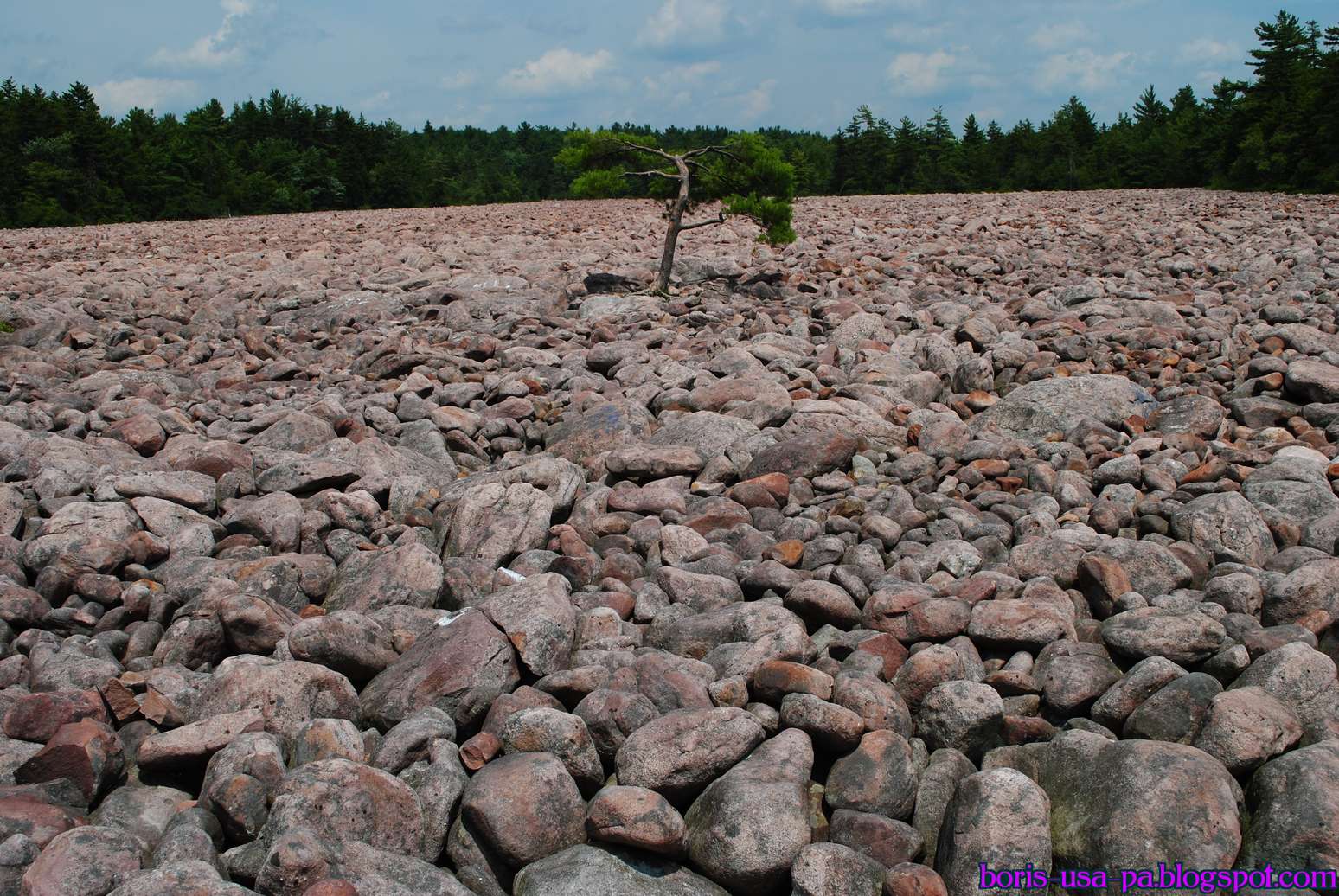 Hickory Run State Park | Travel from Philadelphia
