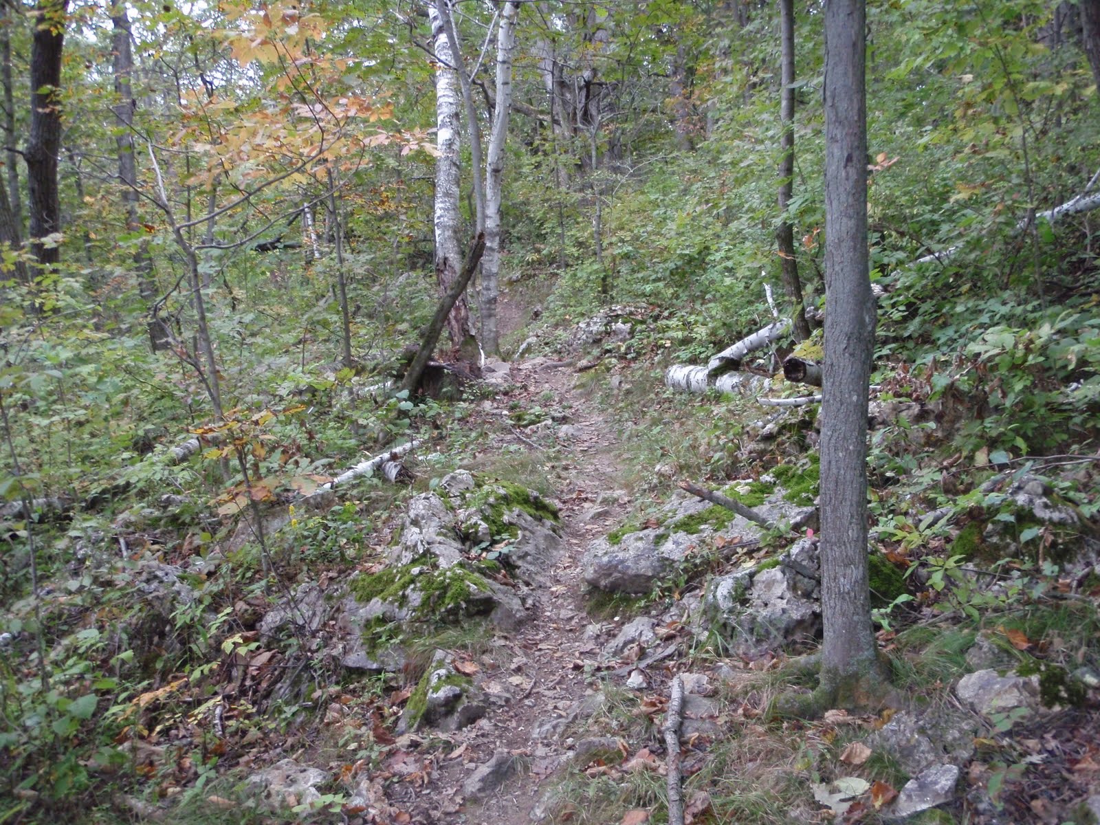 motoscotch Blue Mounds Mountain Bike Race