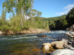 Rio Huequecura