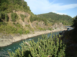 Río Bio Bio - Piulo