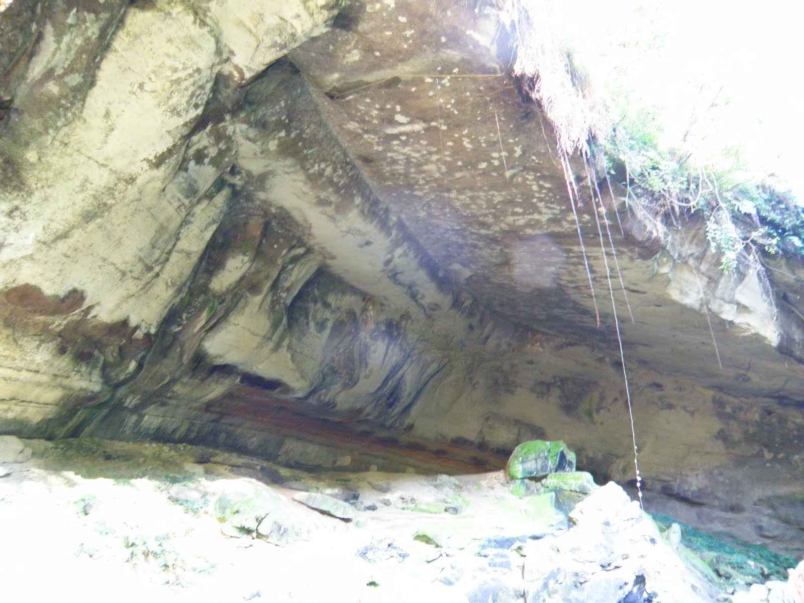 洞穴探险考察，进入不见天日的蝙蝠洞，蝙蝠其实是一直在躲避人类_动物