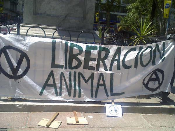 [Liberacion+animal+siempre.jpg]