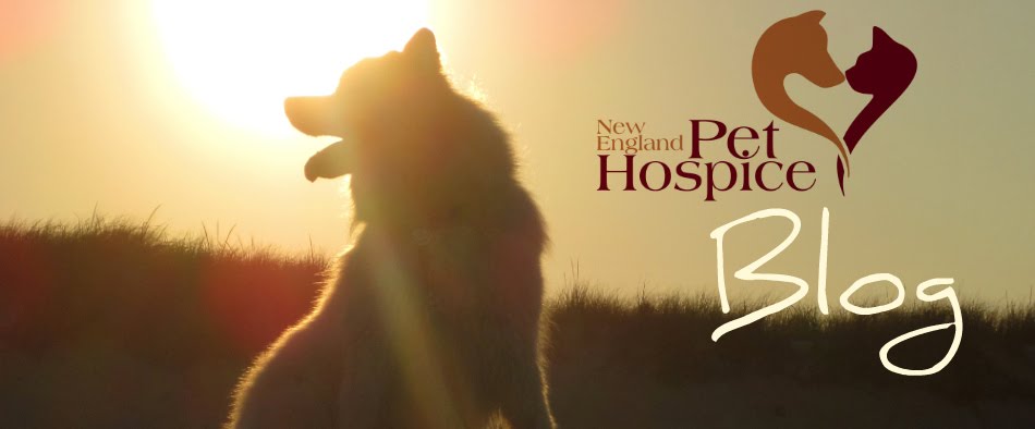 New England Pet Hospice