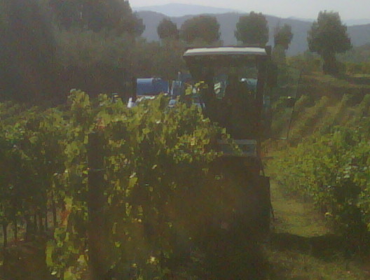 [IMG00115-20090924-0931.jpg]