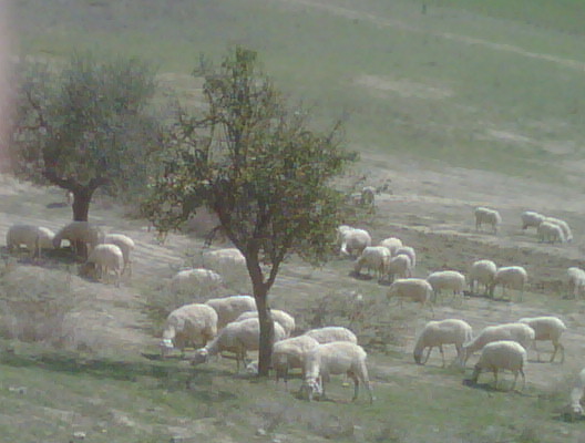 [IMG00143-20090927-1206.jpg]