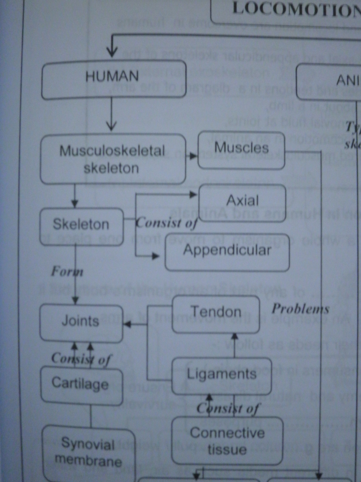 Jawapan Bio Skor Tingkatan 5  Windows 10 Typo