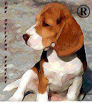 The Quilting Beagles®