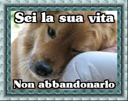 Non farlo