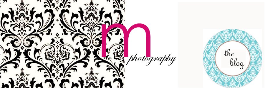 Moments by Missy Header