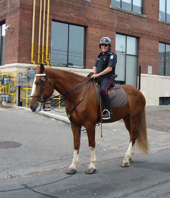 Occasional Toronto Toronto Police Mounted Unit