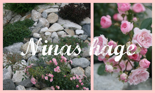 Ninas hage