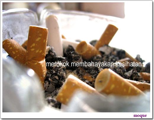 [rokok1.jpg]