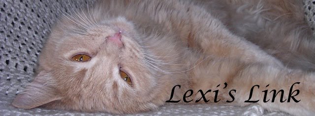 Lexi's Link