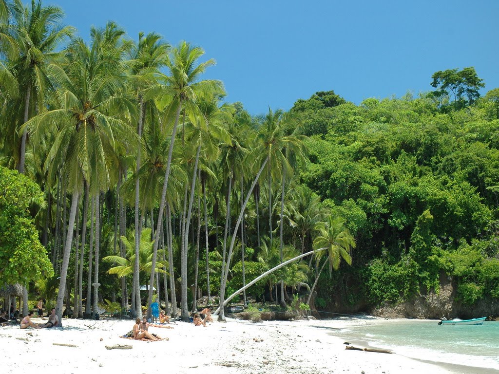 MUNDO TORTUGA ISLA LA TORTUGA