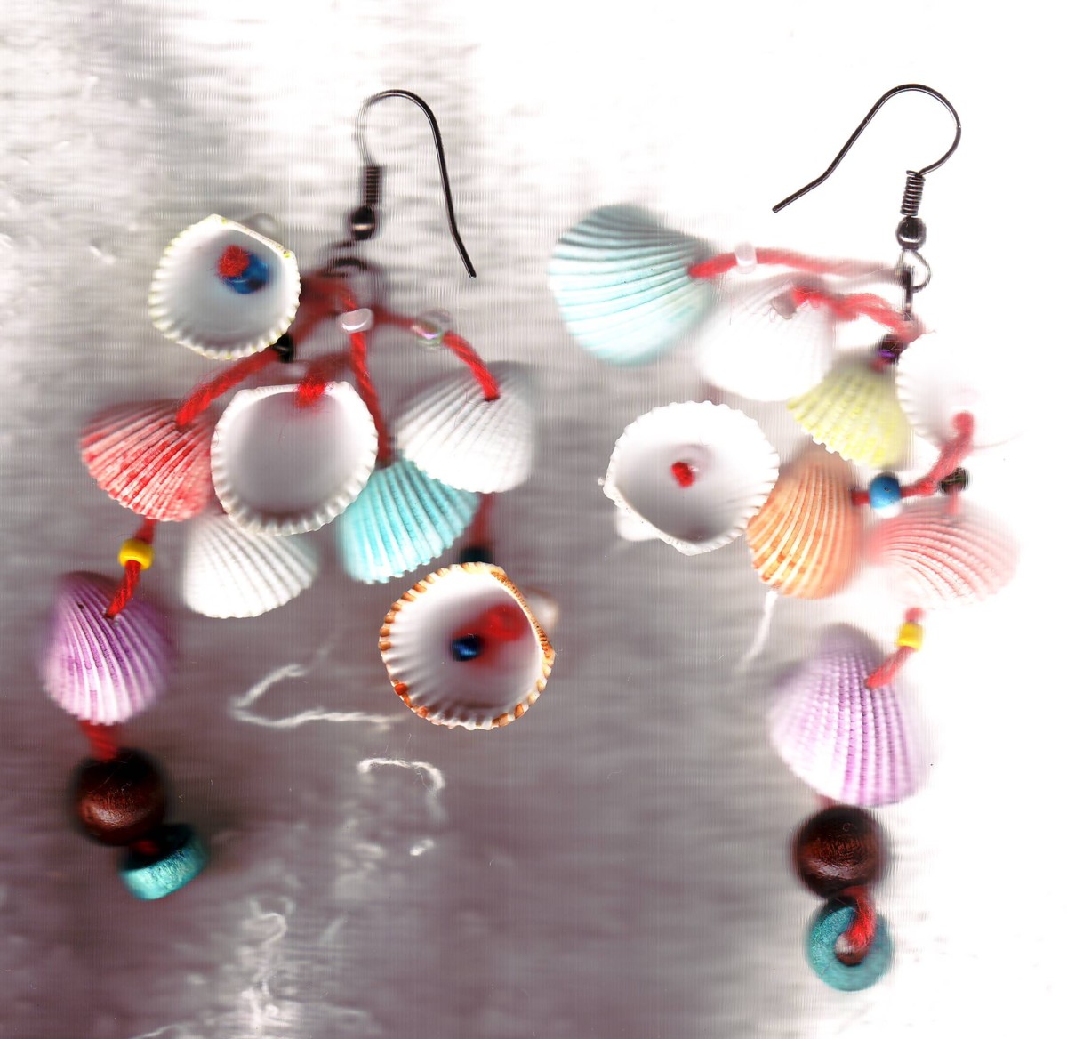 [shell+earring2.jpg]