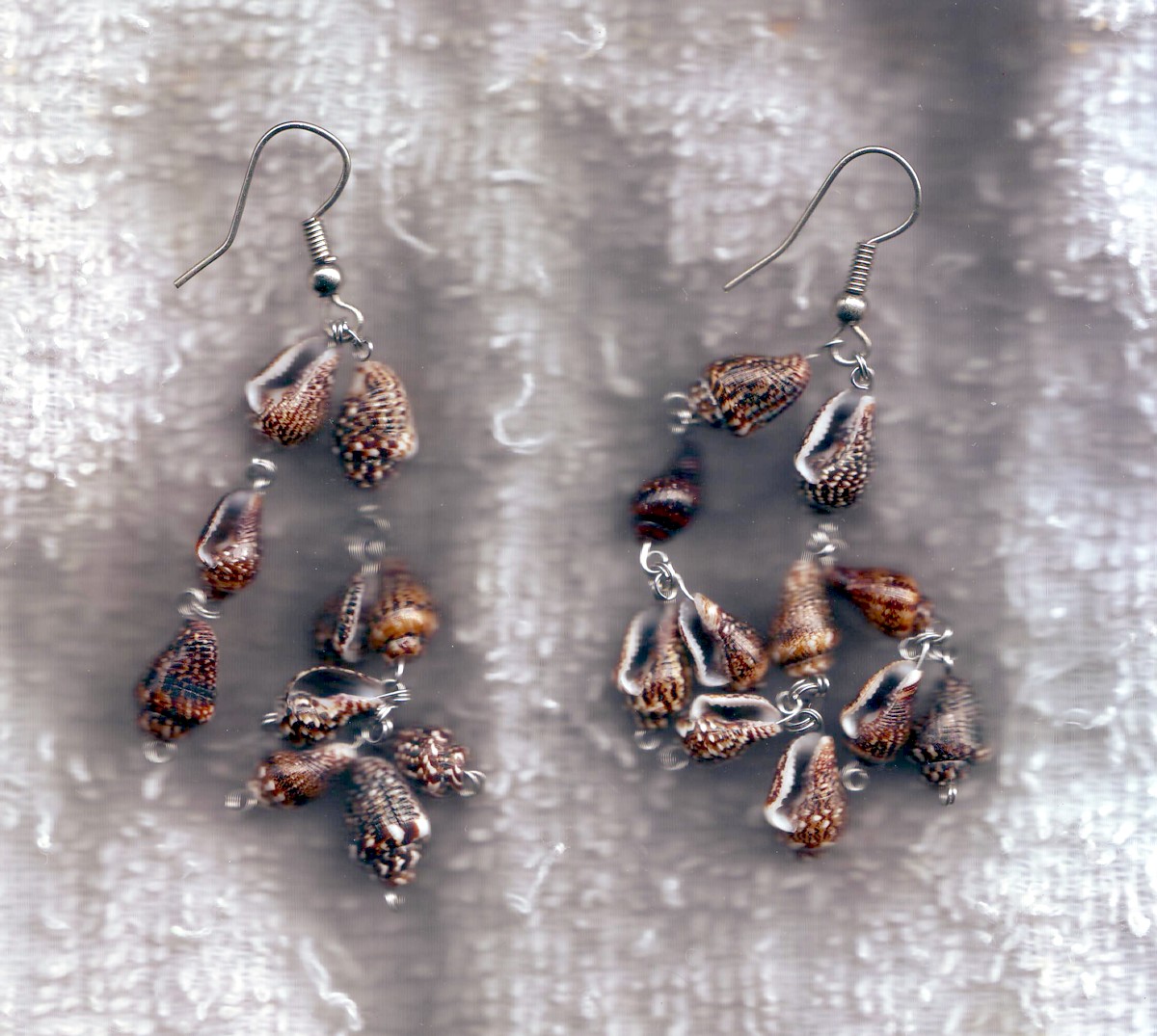 [turban+shell+earring+1.jpg]