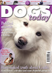 Stiil available as a back issue from 01276 858880 or enquiries@dogstodaymagazine.co.uk