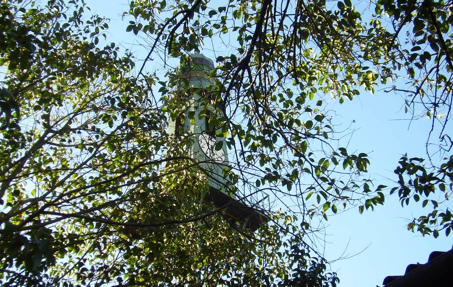 [21-9-09+010.jpg]