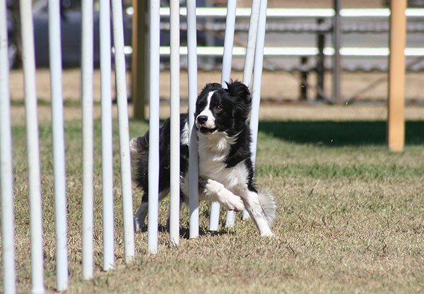 [raveadmbcnats1.jpg]