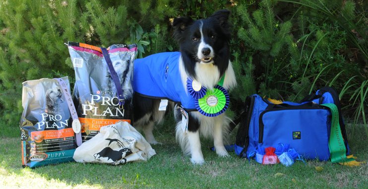 [cypherwinsbcnats.jpg]