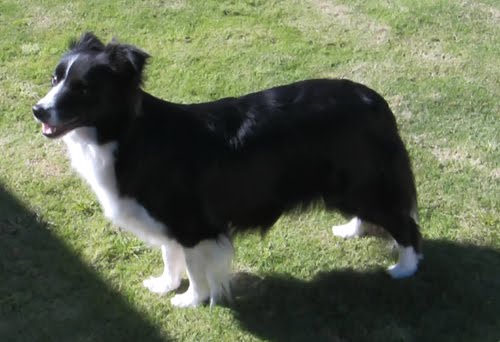 [spryte1daybefore.jpg]