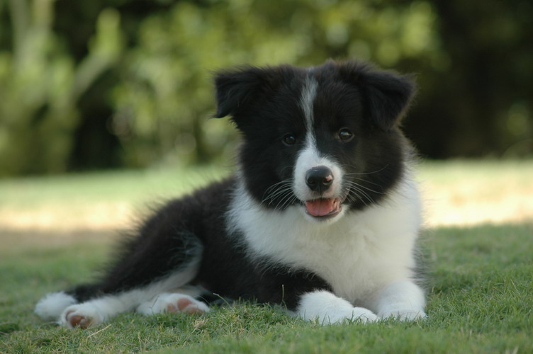 [20-12-2004+4-23-31+PM.jpg]