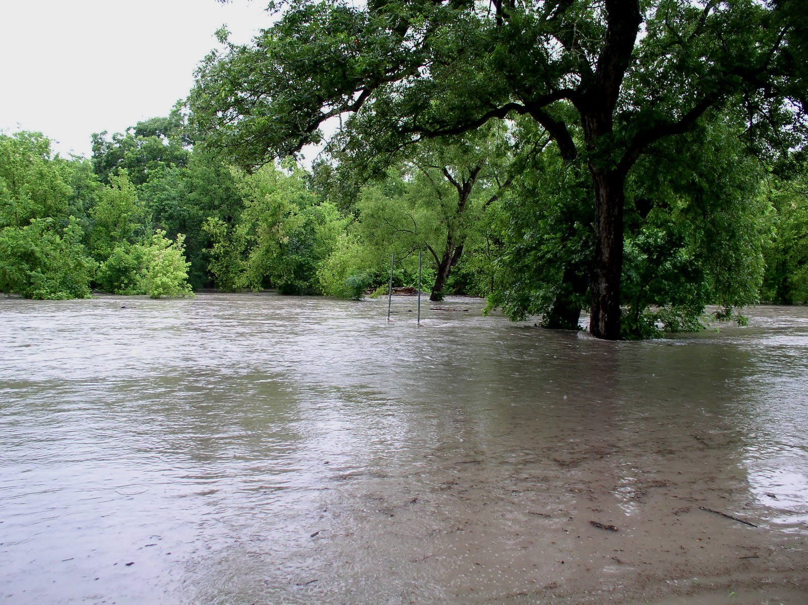 Along the Geronimo Creek June 9, 2010 Geronimo Creek Flood