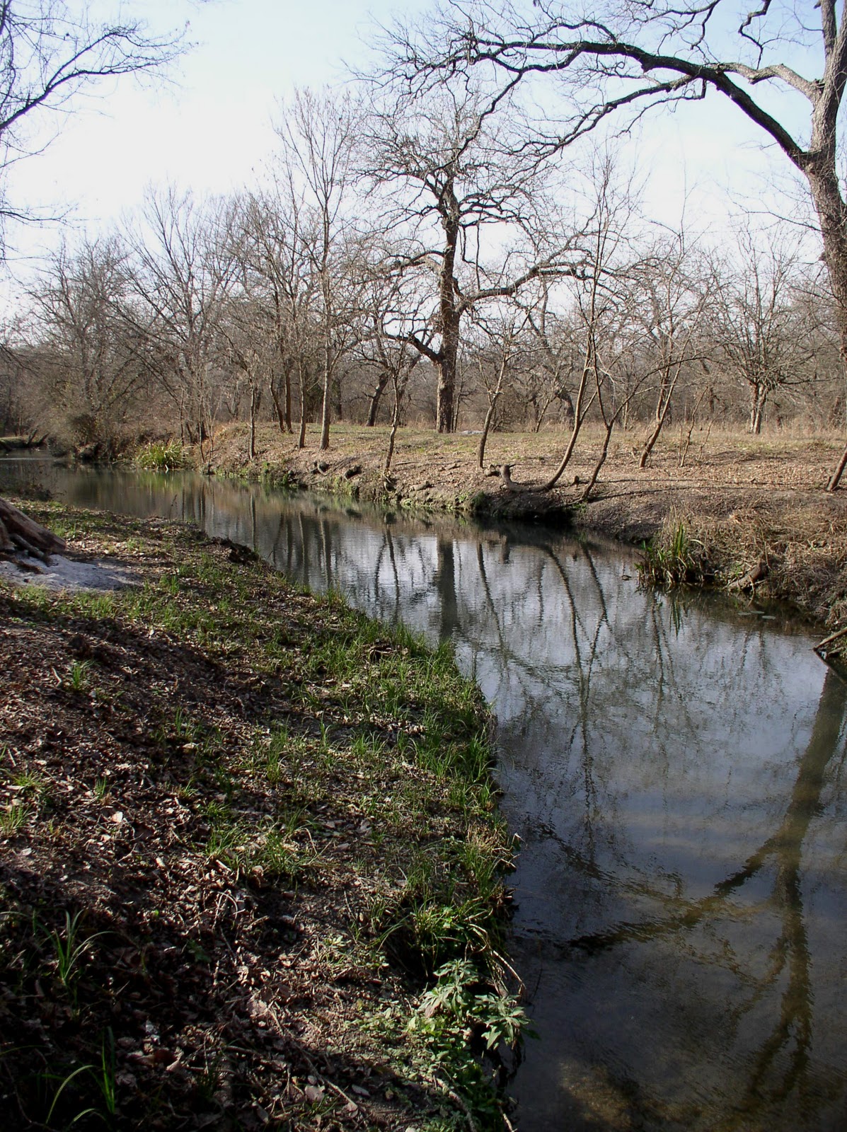 Along the Geronimo Creek January landscaping projects