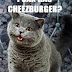 I CAN HAS CHEEZBURGER wins against icanhashotdog.com