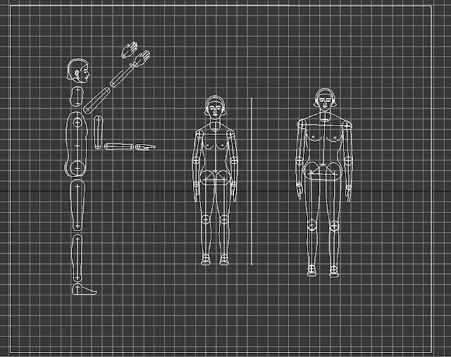 3D design: Human body