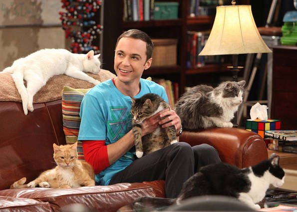 Errores de continuidad en The Big Bang Theory de los que no te diste cuenta - CineTele Curiosidades de las series