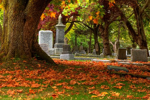 [cemetery.jpg]
