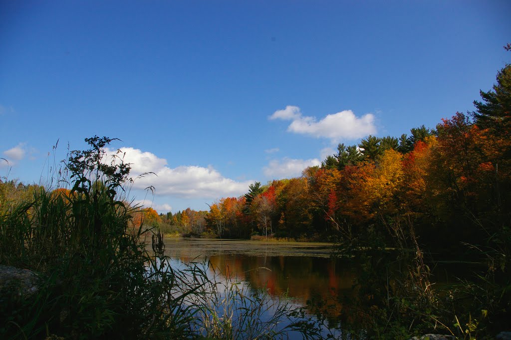 HISTORY AND GENEALOGY OF BERNE, NEW YORK BERNE ECOTOURISM